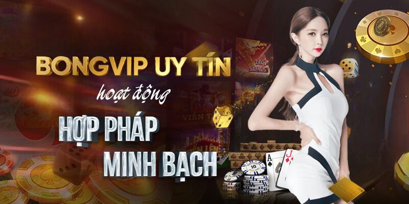 Đôi nét về BONGVIP