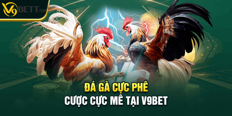 Giới thiệu về sảnh game đá gà V9bet